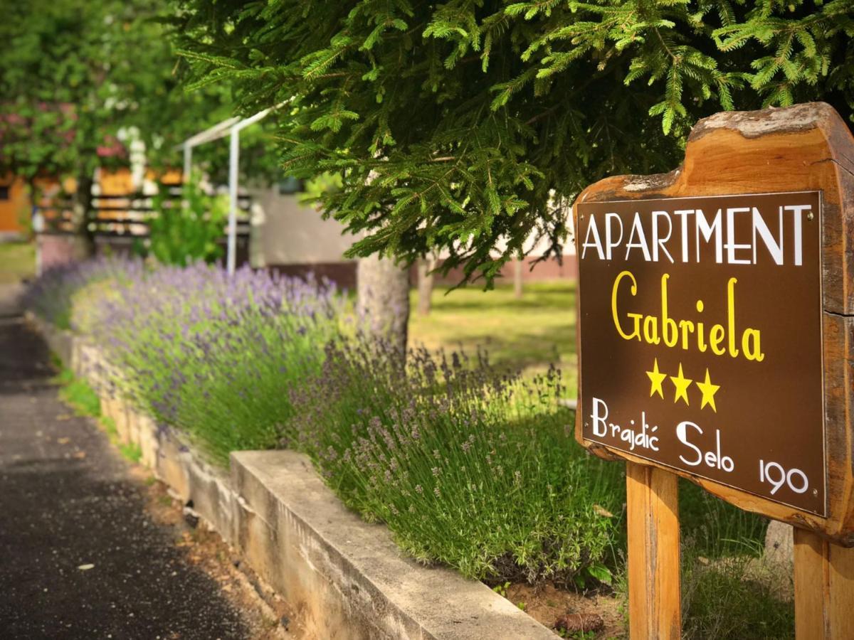 Apartment Gabriela Раковица Екстер'єр фото